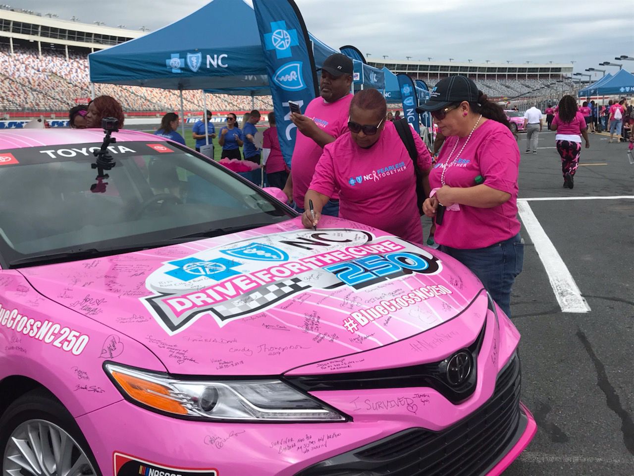 Paint Pit Wall Pink